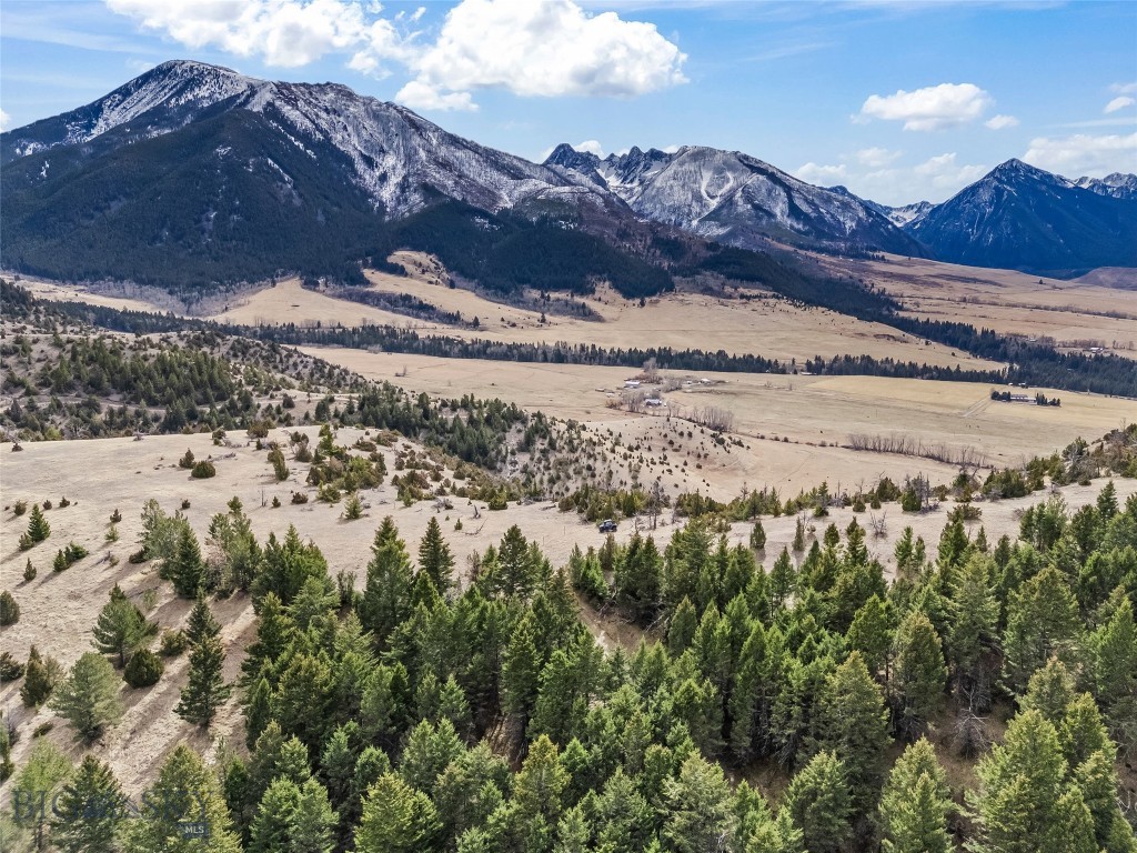 NHN (Parcel A-2) Suce Creek Road, Livingston MT 59047