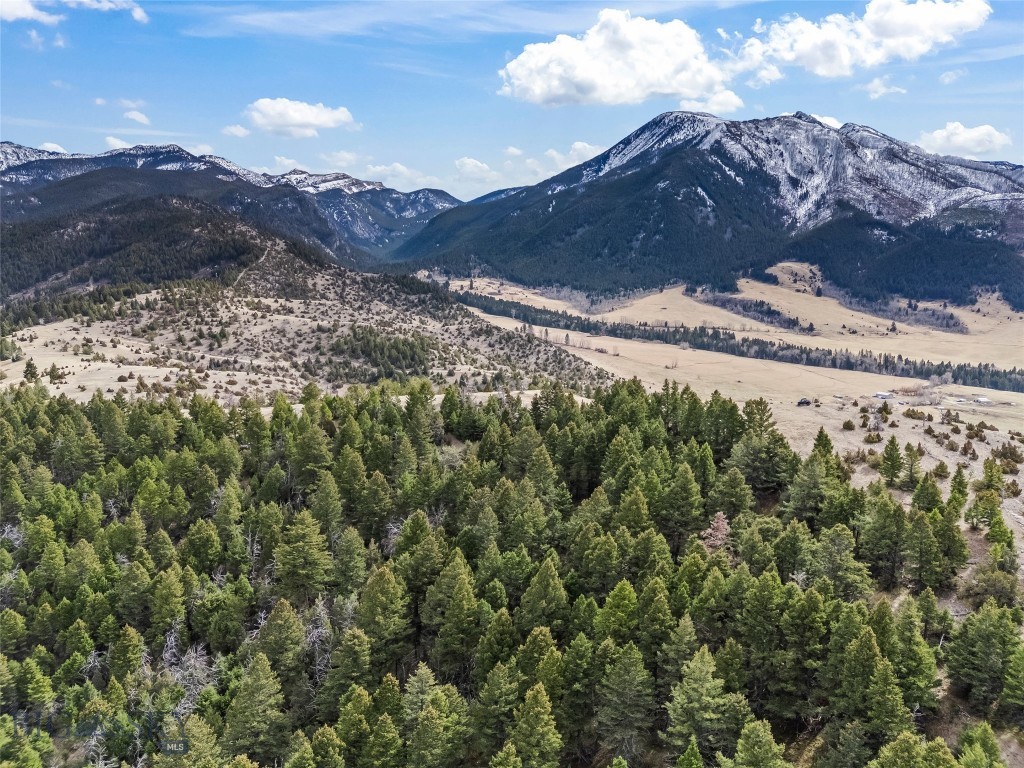 NHN (Parcel A-2) Suce Creek Road, Livingston MT 59047