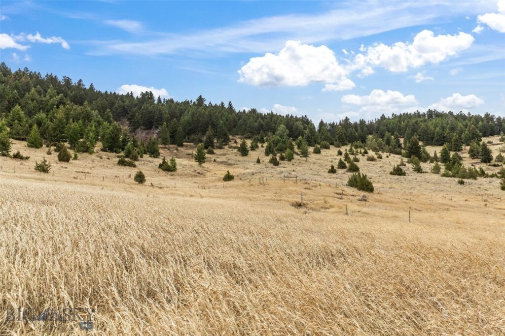 NHN (Parcel A-2) Suce Creek Road, Livingston MT 59047