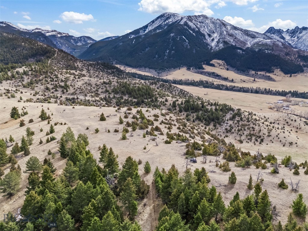 NHN (Parcel A-2) Suce Creek Road, Livingston MT 59047