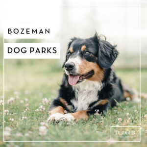 Bozeman Dog Parks