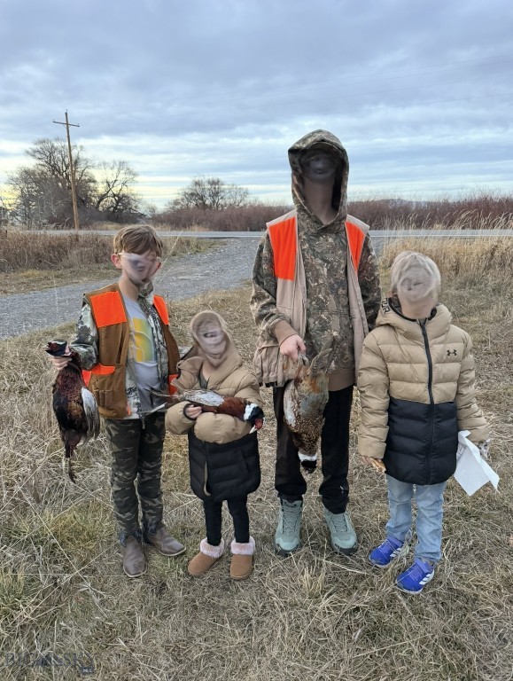 TBD Penwell Bridge Road, Belgrade MT 59714