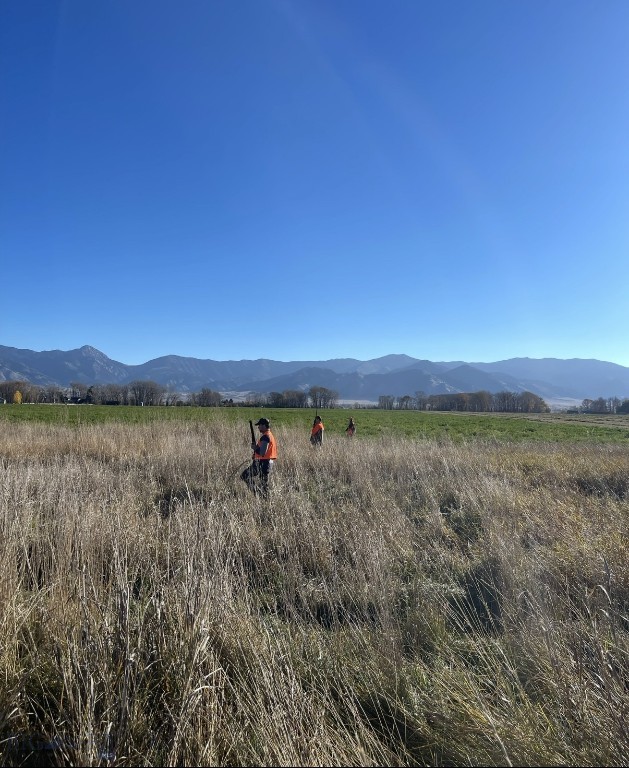 TBD Penwell Bridge Road, Belgrade MT 59714