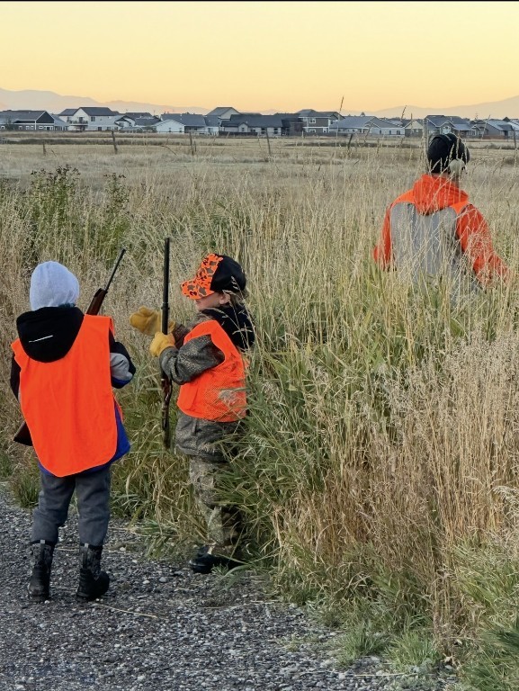 TBD Penwell Bridge Road, Belgrade MT 59714