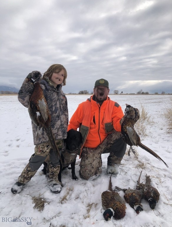 TBD Penwell Bridge Road, Belgrade MT 59714