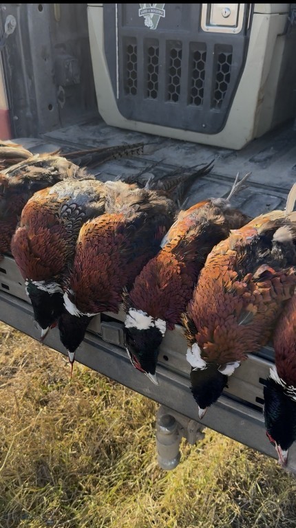 TBD Penwell Bridge Road, Belgrade MT 59714