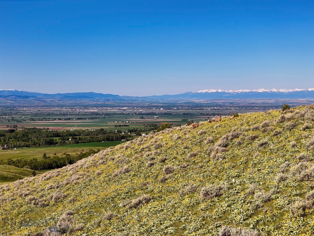 Four Bar Ranches Corbly Gulch, Belgrade MT 59714