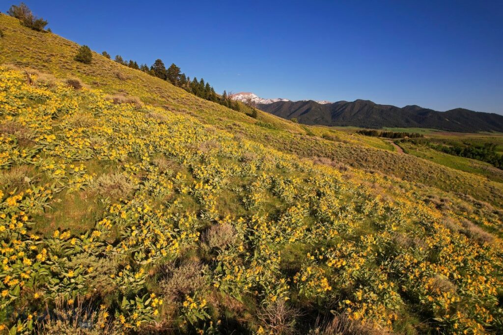 Four Bar Ranches Corbly Gulch, Belgrade MT 59714