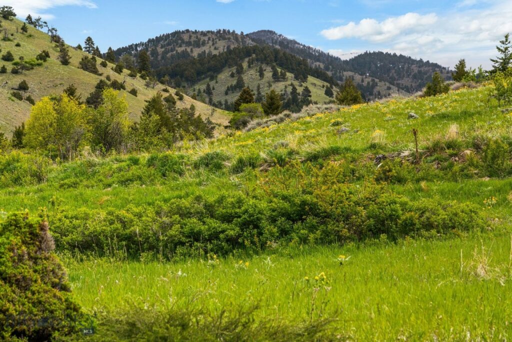 Four Bar Ranches Corbly Gulch, Belgrade MT 59714