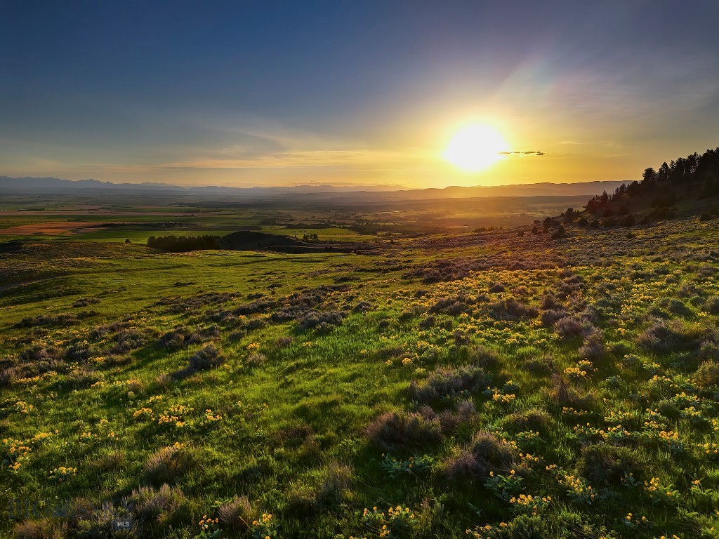 Four Bar Ranches Corbly Gulch Road, Belgrade MT 59714