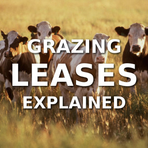 Grazing Leases Explained