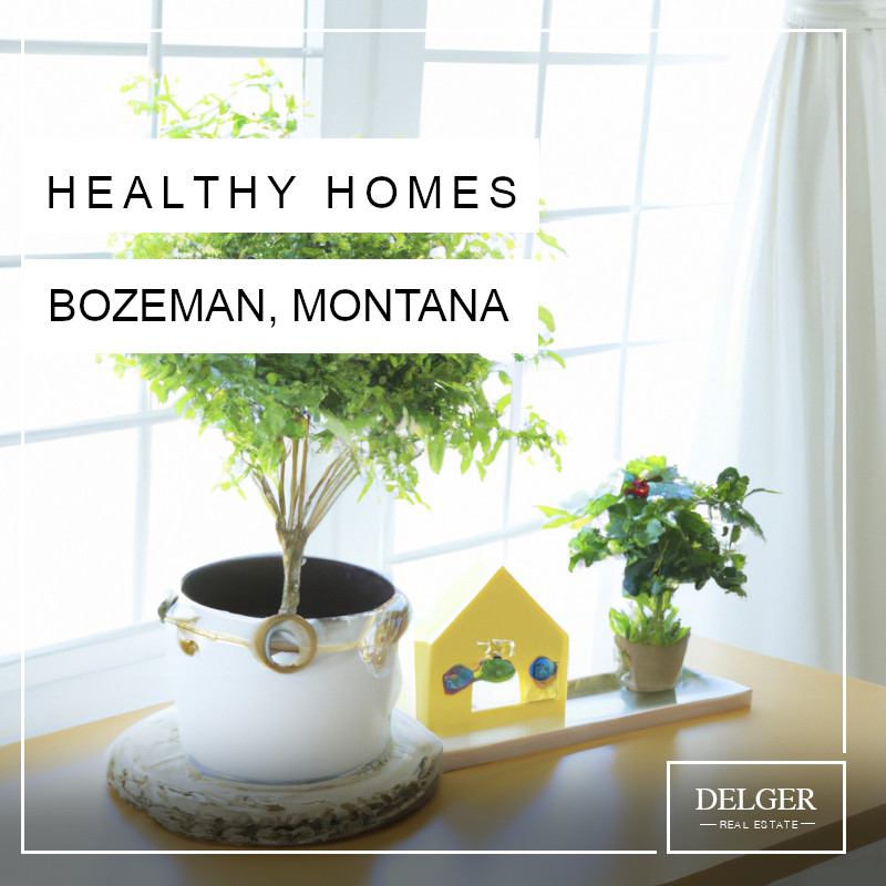 Healthy Homes
