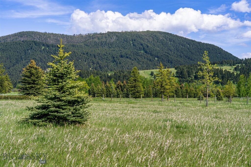 NHN Pheasant Dr, Bozeman MT 59718