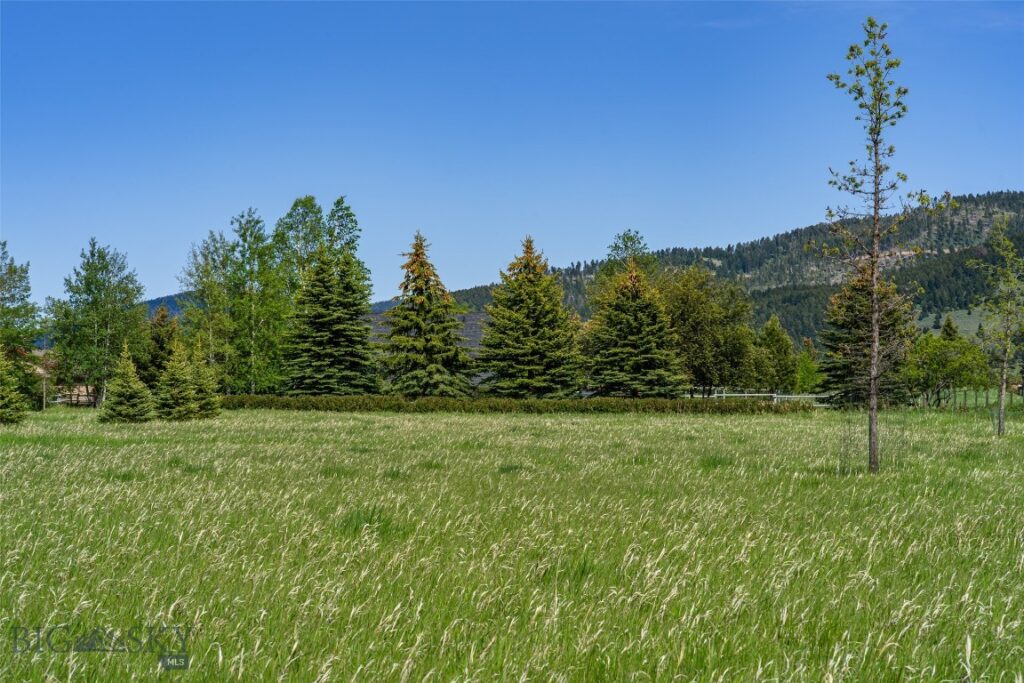 NHN Pheasant Dr, Bozeman MT 59718