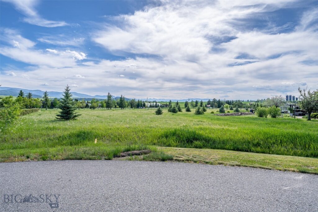 NHN Pheasant Dr, Bozeman MT 59718