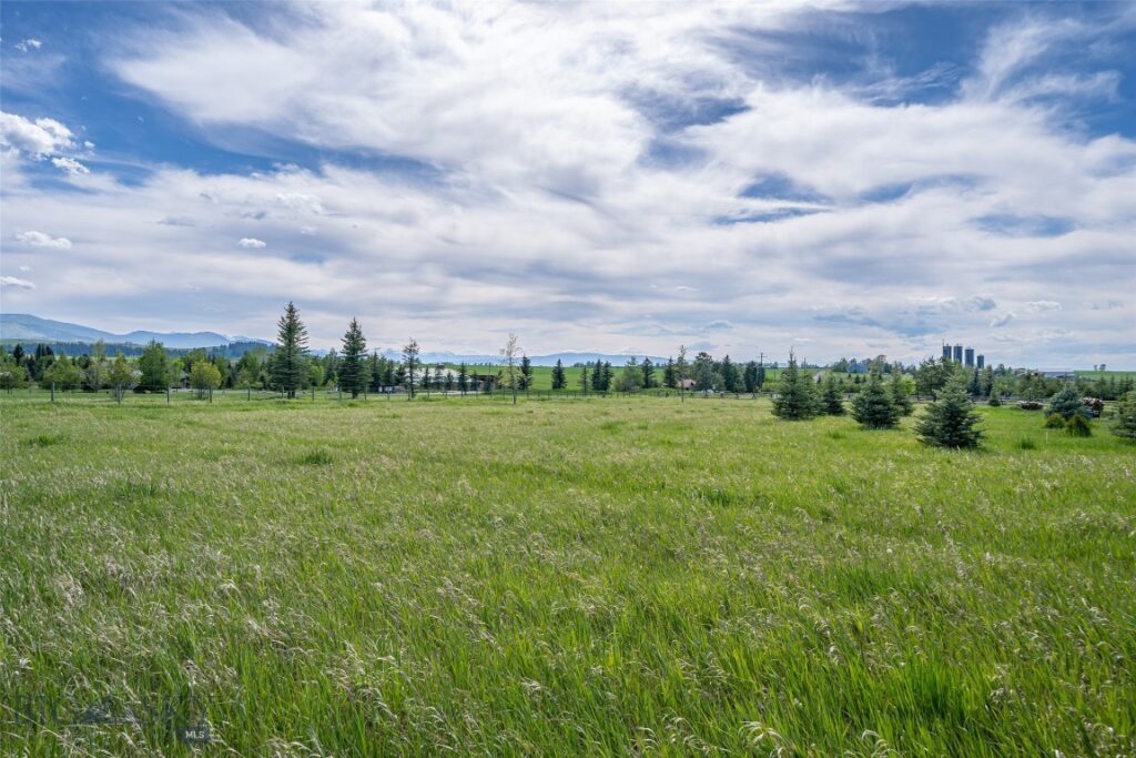 NHN Pheasant Dr, Bozeman MT 59718