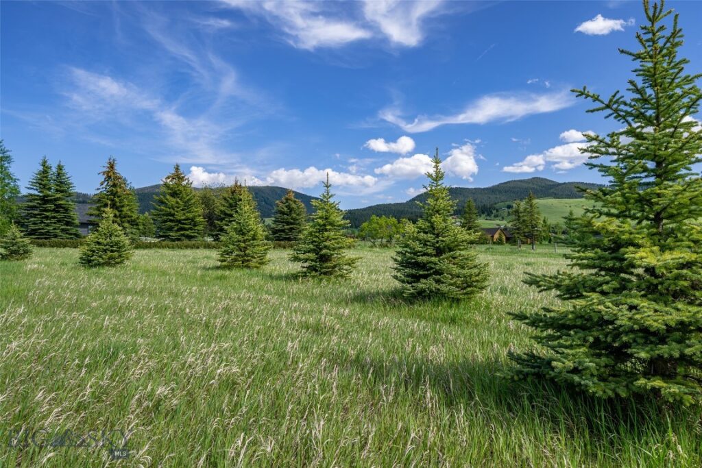 NHN Pheasant Dr, Bozeman MT 59718