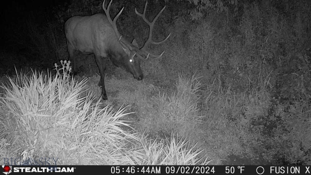 TBD US Highway 10 W, Livingston MT 59047