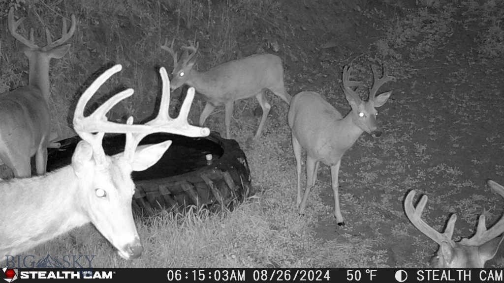 TBD US Highway 10 W, Livingston MT 59047