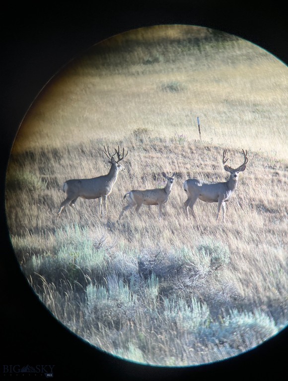 TBD US Highway 10 W, Livingston MT 59047