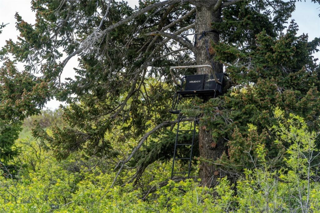 TBD US Highway 10 W, Livingston MT 59047