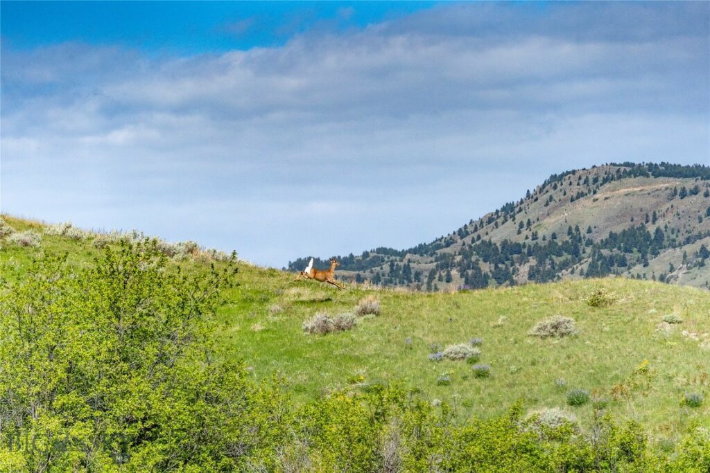 TBD US Highway 10 W, Livingston MT 59047