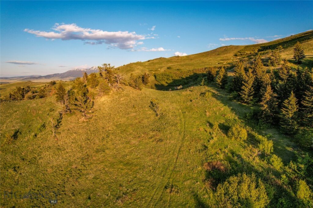 TBD US Highway 10 W, Livingston MT 59047