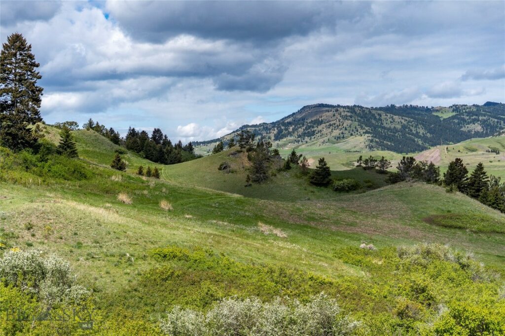 TBD US Highway 10 W, Livingston MT 59047