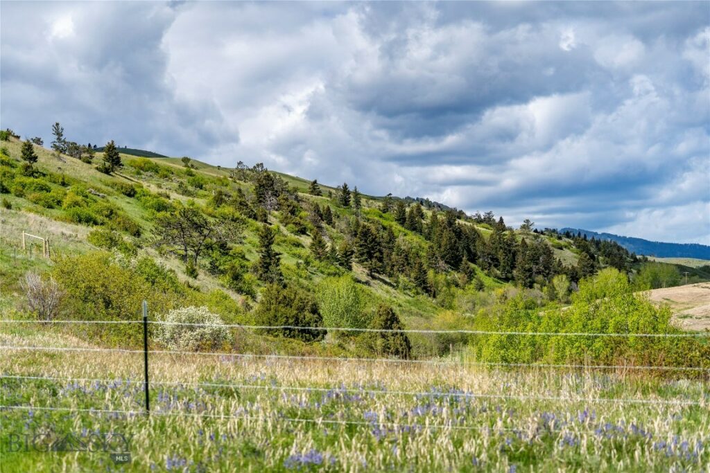 TBD US Highway 10 W, Livingston MT 59047