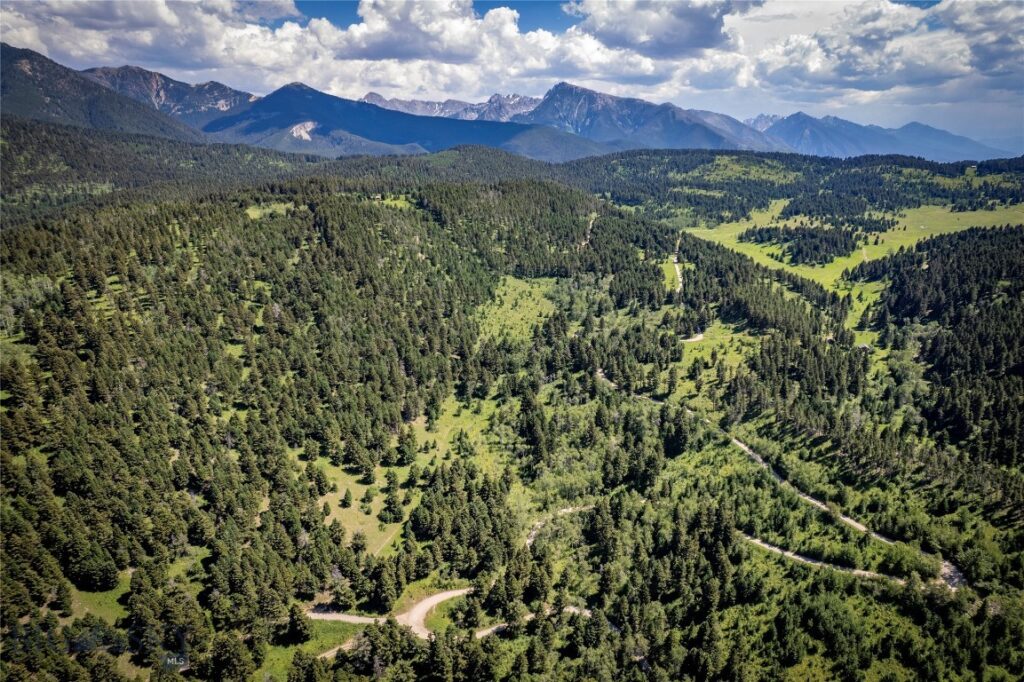 TBD Livingston Peak Road, Livingston MT 59047