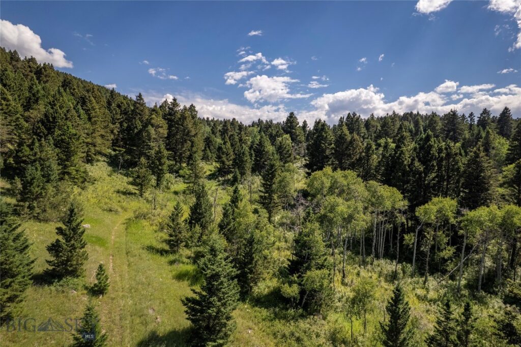 TBD Livingston Peak Road, Livingston MT 59047