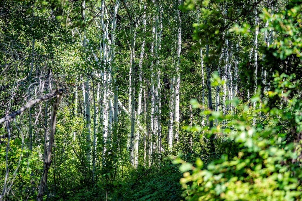 TBD Livingston Peak Road, Livingston MT 59047
