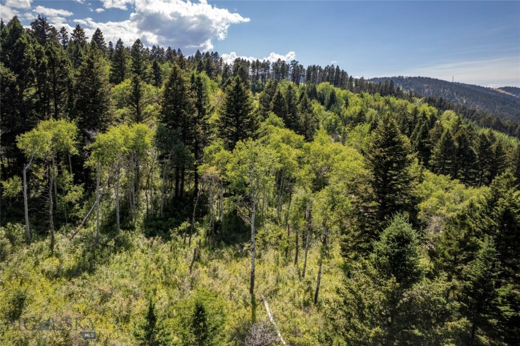 TBD Livingston Peak Road, Livingston MT 59047