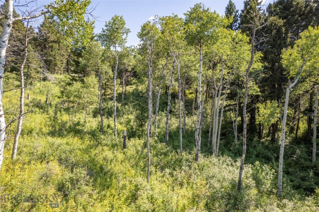 TBD Livingston Peak Road, Livingston MT 59047