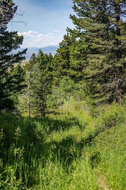 TBD Livingston Peak Road, Livingston MT 59047