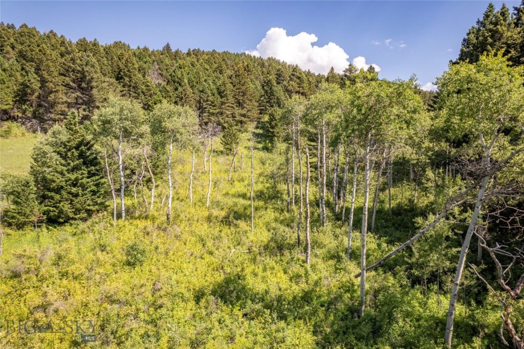 TBD Livingston Peak Road, Livingston MT 59047