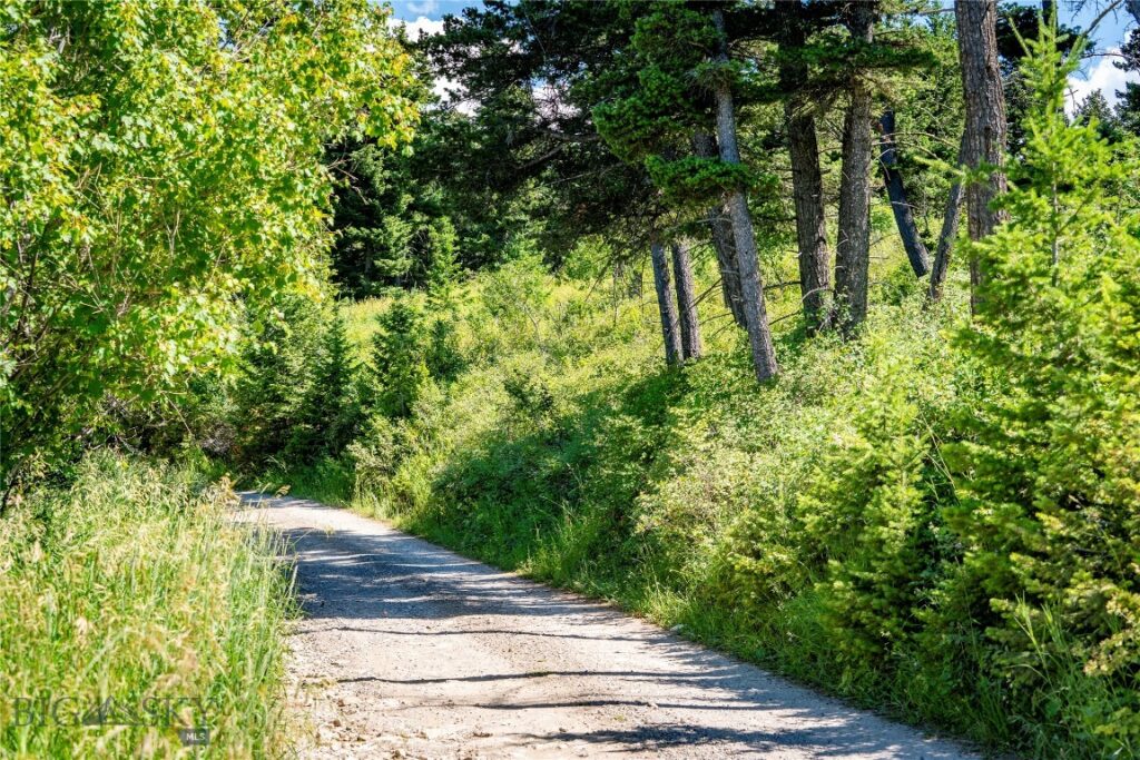 TBD Livingston Peak Road, Livingston MT 59047