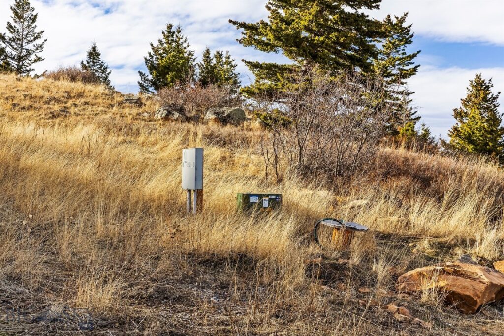 TBD Elk Meadows, Livingston MT 59047