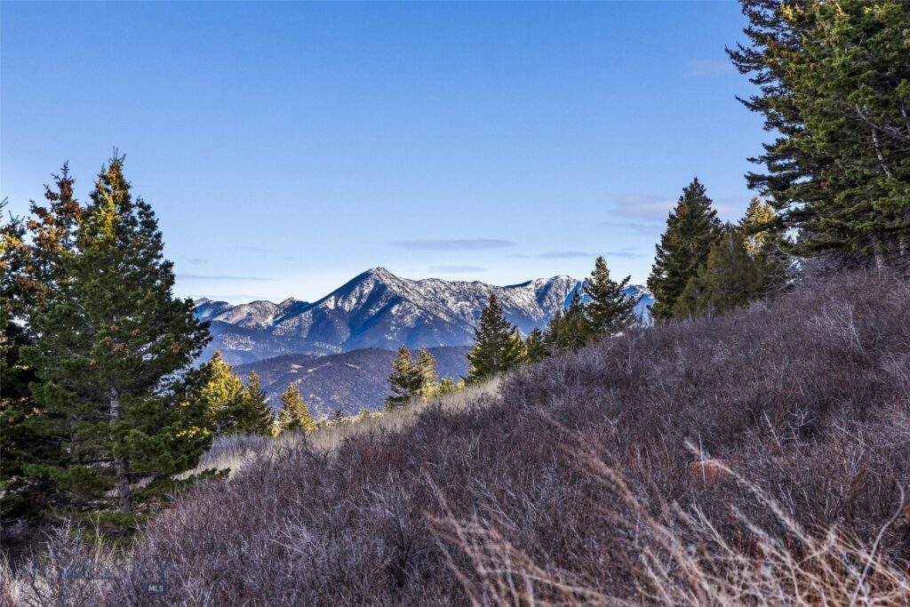 TBD Elk Meadows, Livingston MT 59047