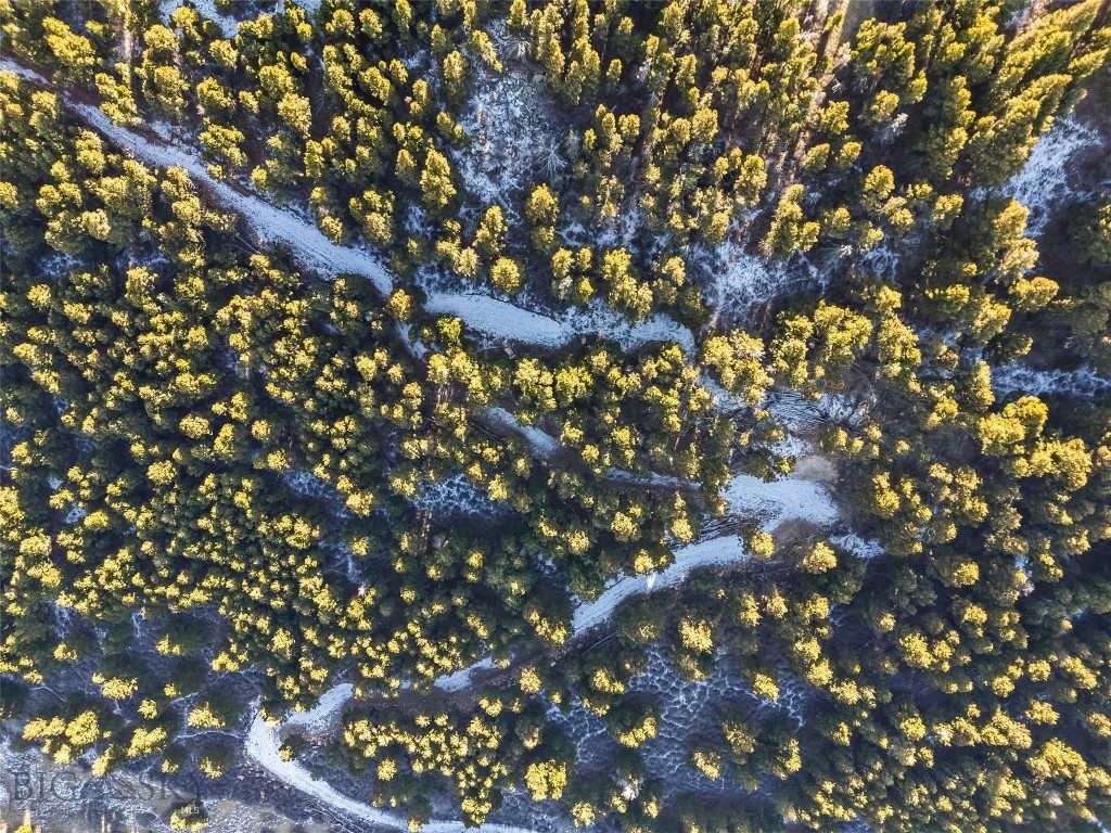 TBD Elk Meadows, Livingston MT 59047