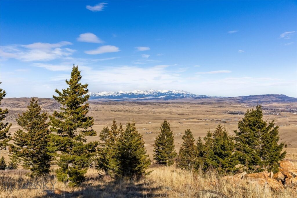 TBD Elk Meadows, Livingston MT 59047