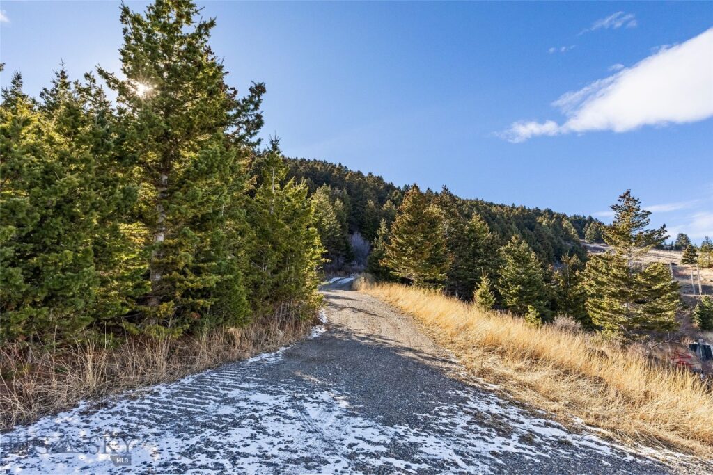 TBD Elk Meadows, Livingston MT 59047