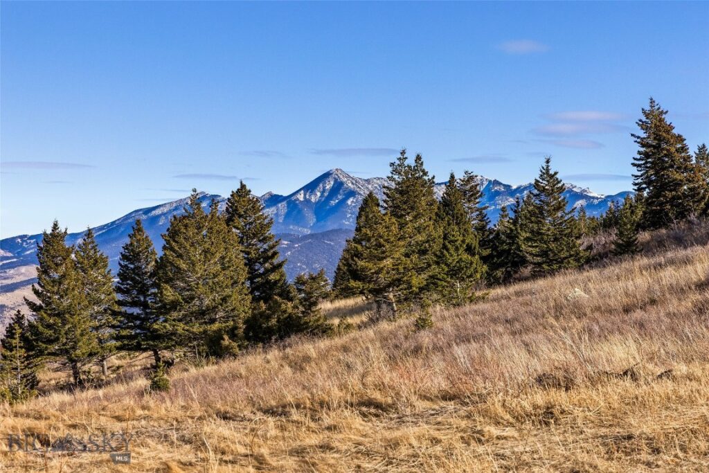 TBD Elk Meadows, Livingston MT 59047