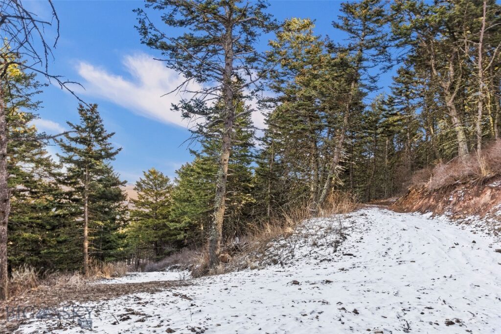 TBD Elk Meadows, Livingston MT 59047