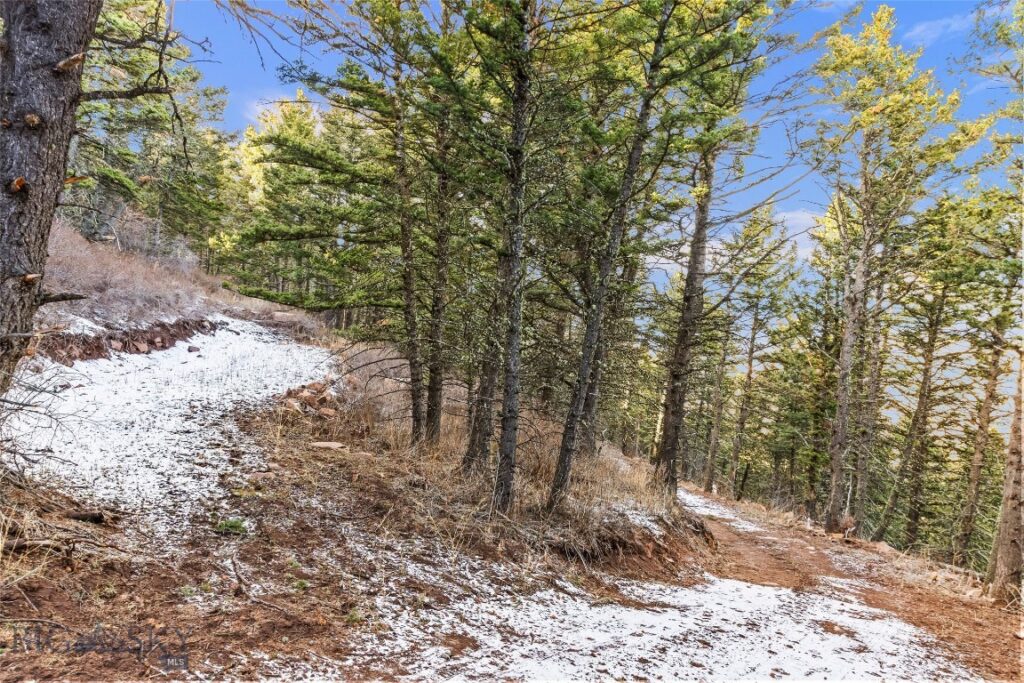 TBD Elk Meadows, Livingston MT 59047