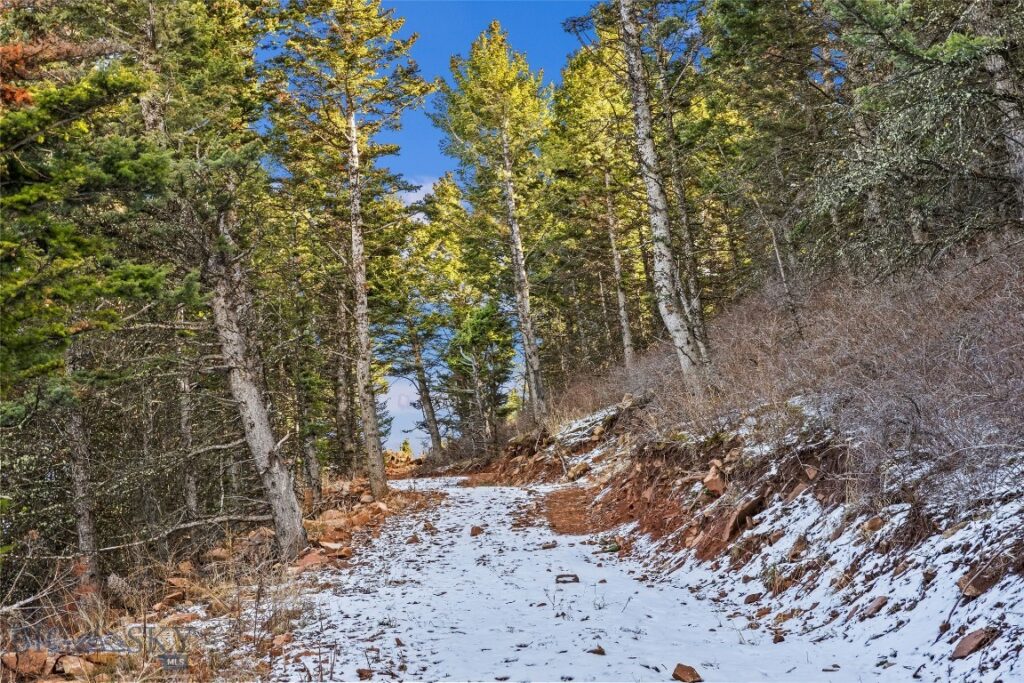 TBD Elk Meadows, Livingston MT 59047