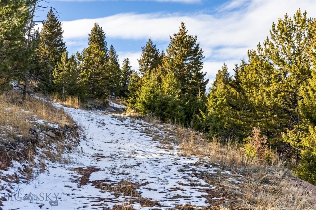 TBD Elk Meadows, Livingston MT 59047