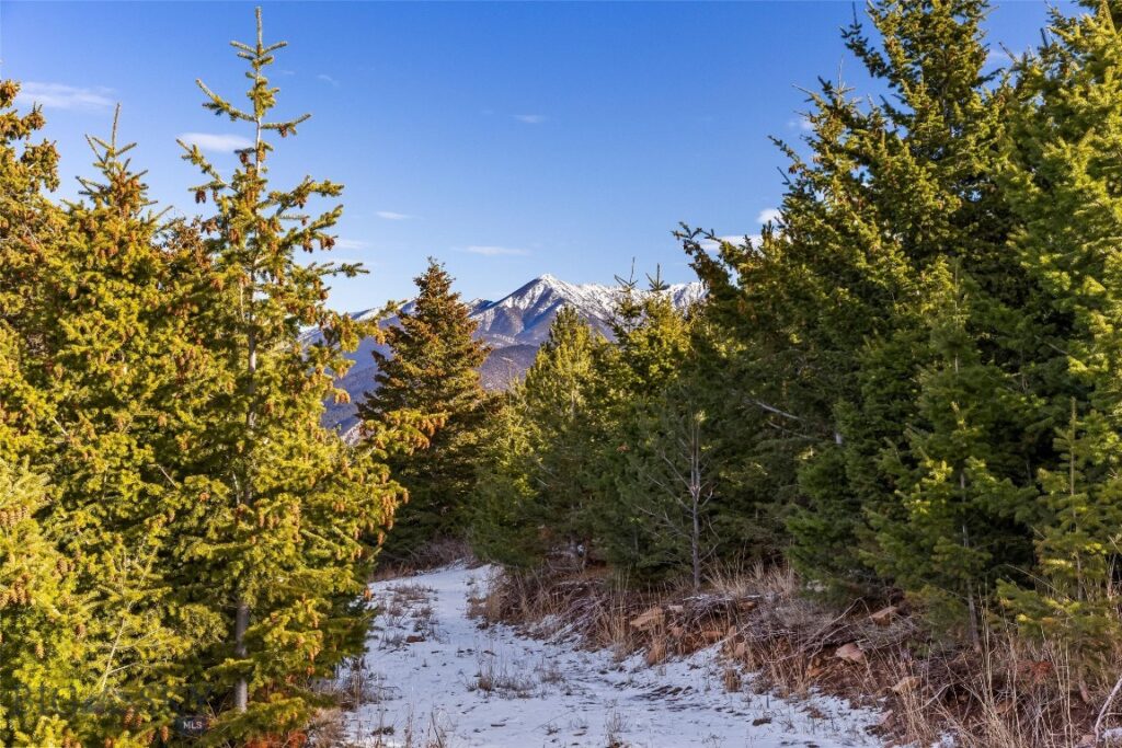 TBD Elk Meadows, Livingston MT 59047