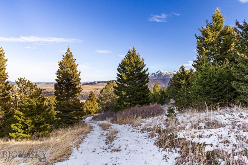 TBD Elk Meadows, Livingston MT 59047