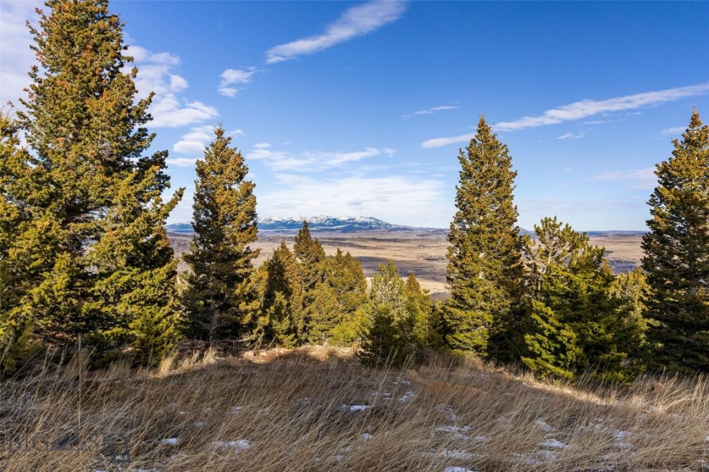 TBD Elk Meadows, Livingston MT 59047